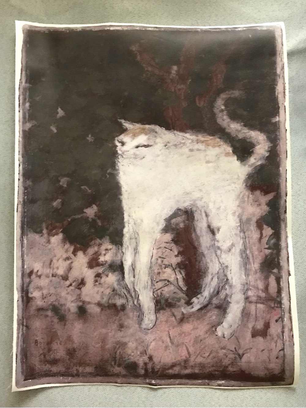 White Cat Art Poster - Unframed